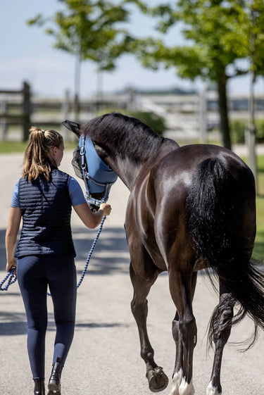 Equipage Ladies Tate Riding Vest| Online For Equine