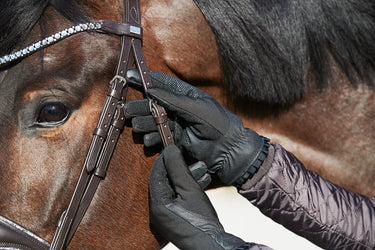 Equipage Lucy Riding Gloves| Online For Equine