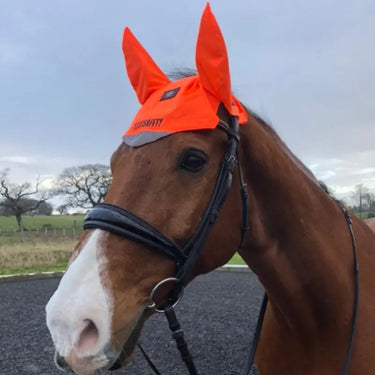 Buy Equisafety Hi Vis Ear Bonnet| Online for Equine