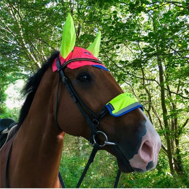 Buy Equisafety Hi Vis Multi Coloured Ear Bonnet| Online for Equine