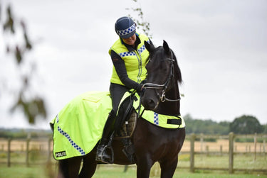 Buy Equisafety Polite Winter Wrap Around Rug| Online for Equine
