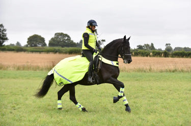 Buy Equisafety Polite Winter Wrap Around Rug| Online for Equine