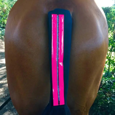 Buy Equisafety Reflective LED Rechargeable Flashing Tail Guard-Pink| Online for Equine