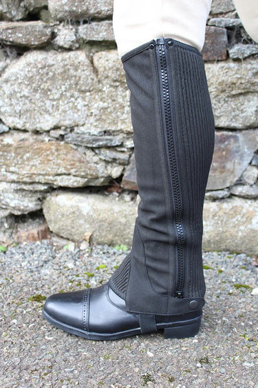 Buy Equisential Amara Half Chaps | Online for Equine
