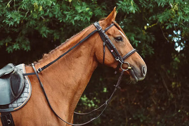 Buy Equisential Anti-Grazing Reins | Online for Equine