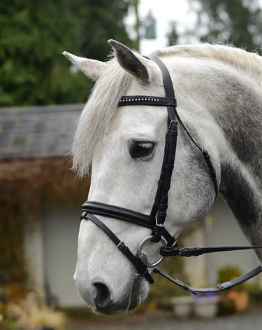 Buy Equisential Bling Bridle | Online for Equine