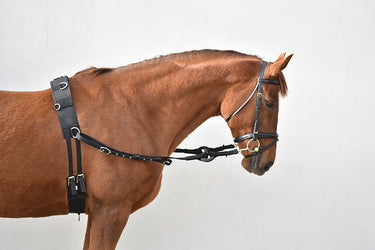 Buy Equisential Breaking set | Online for Equine