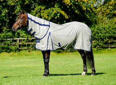 Buy Equisential Fly Rug | Online for Equine