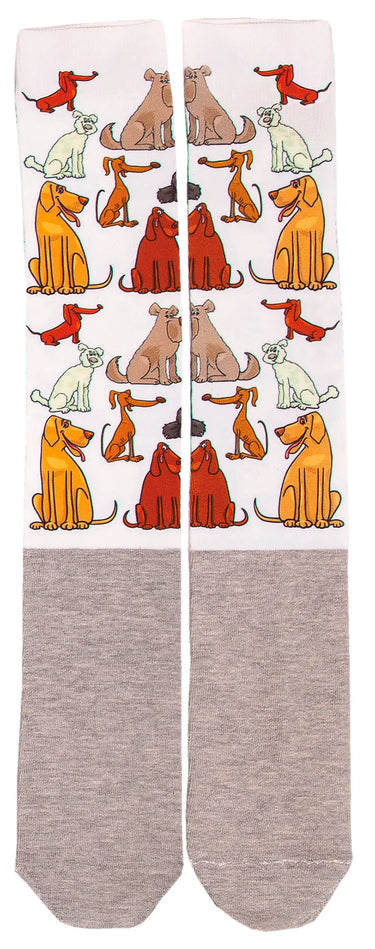 Buy Equisential Happy Socks | Online for Equine