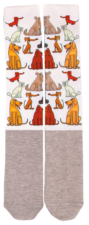 Buy Equisential Happy Socks | Online for Equine