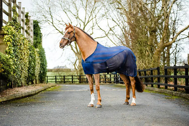 Buy Equisential Net cooler | Online for Equine