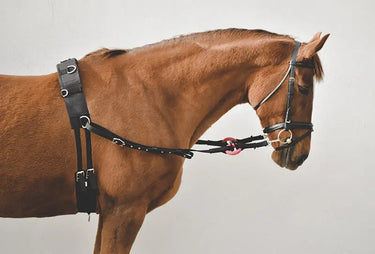 Buy Equisential Nylon Side Reins | Online for Equine