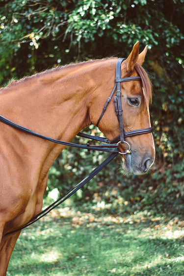 Buy Equisential Padded Draw Reins | Online for Equine
