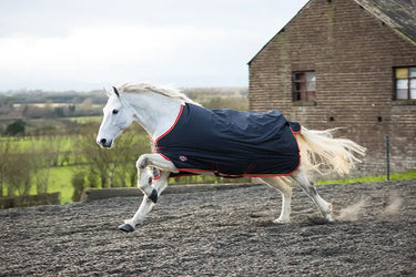 Buy Equisential Standard Medium | Online for Equine