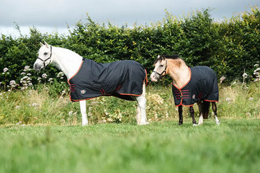 Buy Equisential Turnout Light | Online for Equine