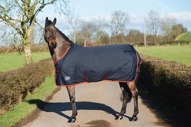 Buy Equisential Turnout Light | Online for Equine