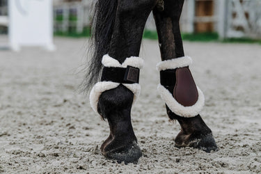 Equithème - Boa - Fetlock Boots
