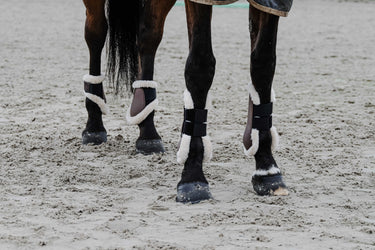 Equithème - Boa - Fetlock Boots| Online For Equine
