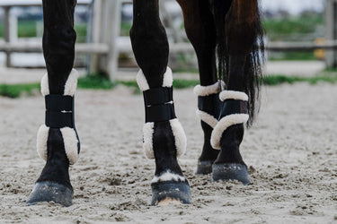 Equithème - Boa - Tendon Boots