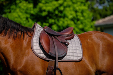 Equithème Chic Saddle Pad| Online For Equine