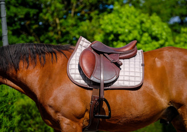 Equithème Chic Saddle Pad| Online For Equine