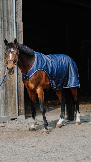 Equithème Classic 1200D Horse Walker Sheet| Online For Equine