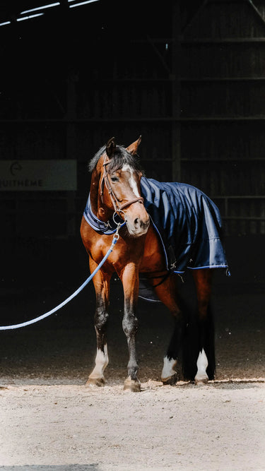 Equithème Classic 1200D Horse Walker Sheet| Online For Equine