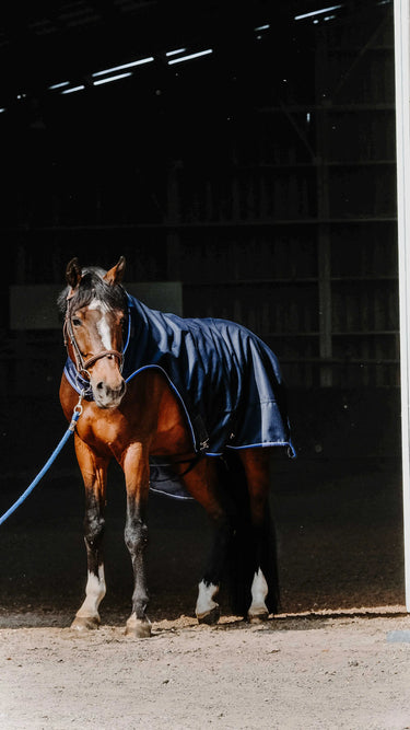 Equithème Classic 1200D Horse Walker Sheet| Online For Equine