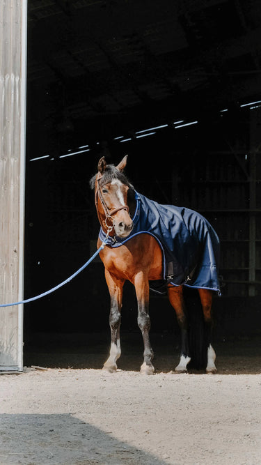 Equithème Classic 1200D Horse Walker Sheet| Online For Equine