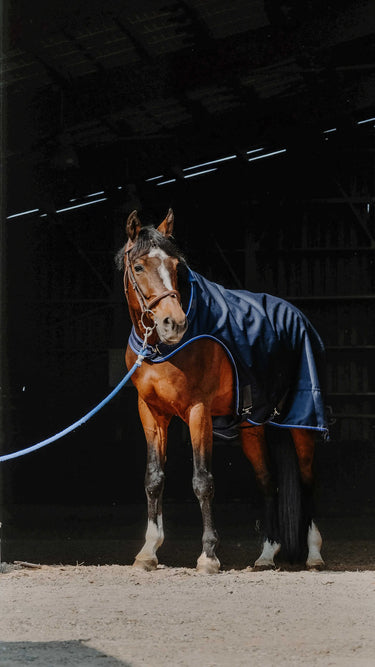 Equithème Classic 1200D Horse Walker Sheet| Online For Equine