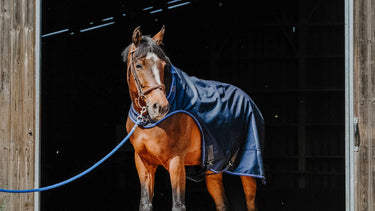 Equithème Classic 1200D Horse Walker Sheet| Online For Equine