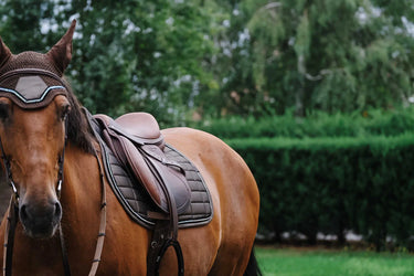 Equitheme Domino Saddle Pad| Online For Equine