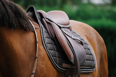 Equitheme Domino Saddle Pad| Online For Equine