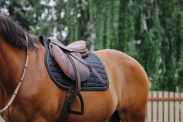 Equitheme Domino Saddle Pad| Online For Equine
