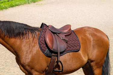 Equithème Impulsion Saddle Pad| Online For Equine