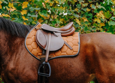 Equithème Quadri Saddle Pad