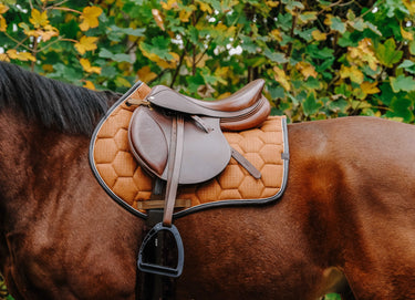Equithème Quadri Saddle Pad| Online For Equine