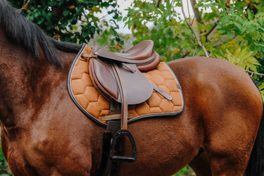 Equithème Quadri Saddle Pad| Online For Equine