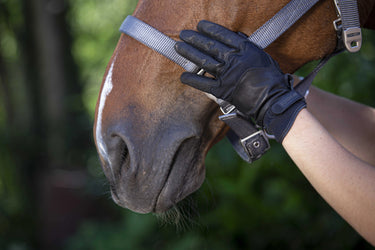 Equithème Soft Leather Gloves| Online For Equine