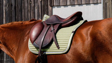 Equitheme Spring Saddle Pad| Online For Equine