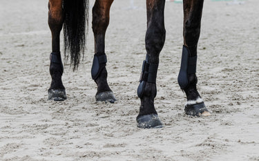 Equithème - Tara - Fetlock Boots| Online For Equine