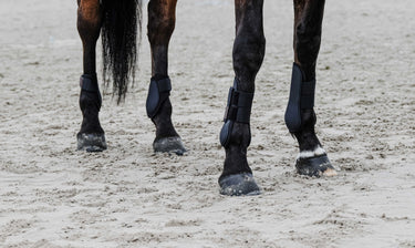 Equithème - Tara - Tendon Boots| Online For Equine