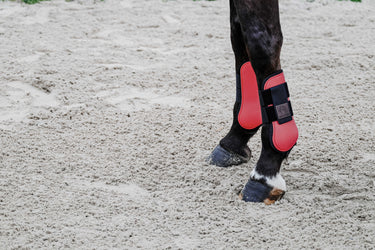 Equithème - Tara - Tendon Boots| Online For Equine
