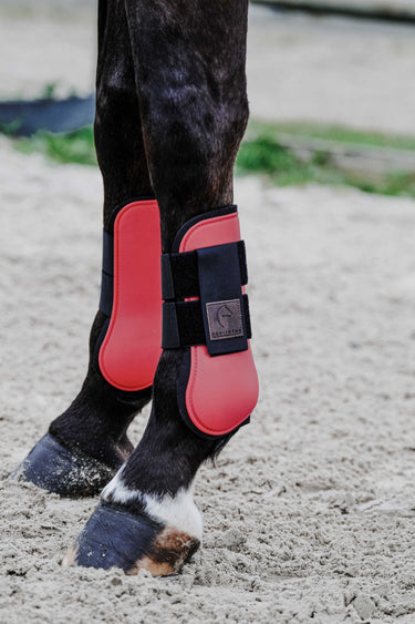 Equithème - Tara - Tendon Boots| Online For Equine