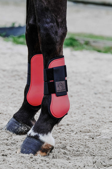 Equithème - Tara - Tendon Boots| Online For Equine