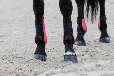 Equithème - Tara - Tendon Boots| Online For Equine