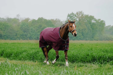 Equithème Tyrex 1200D No Fill 0g Standard Neck Turnout Rug| Online For Equine
