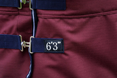 Equithème Tyrex 1200D No Fill 0g Standard Neck Turnout Rug| Online For Equine