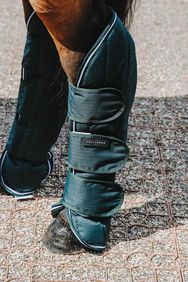 Equithème - Tyrex 600D - Shipping Boots| Online For Equine