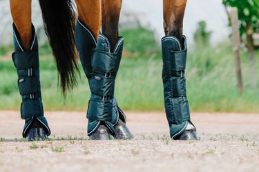 Equithème - Tyrex 600D - Shipping Boots| Online For Equine